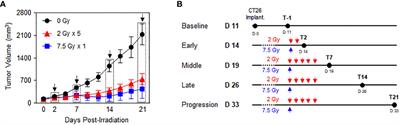 Dynamic alterations in PD-1/PD-L1 expression level and immune cell profiles based on radiation response status in mouse tumor model